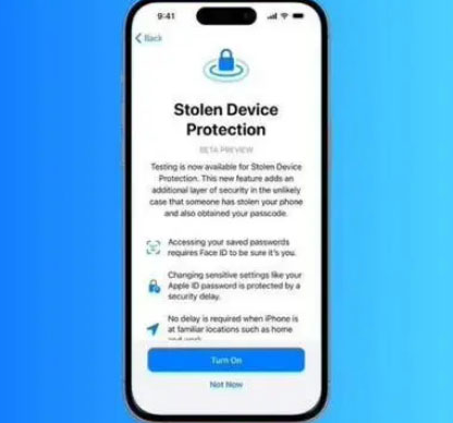 吉首苹果授权维修店分享被盗设备保护功能开启方法