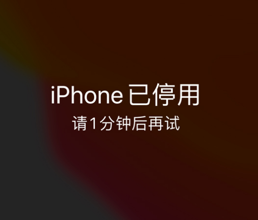 吉首苹果手机维修分享:iPhone 显示“不可用”或“已停用”怎么办？还能保留数据吗？ 