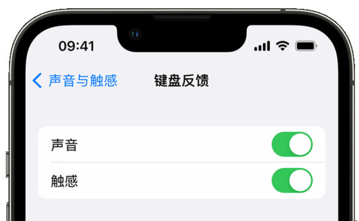 吉首苹果手机维修分享iPhone 14触感键盘使用方法 