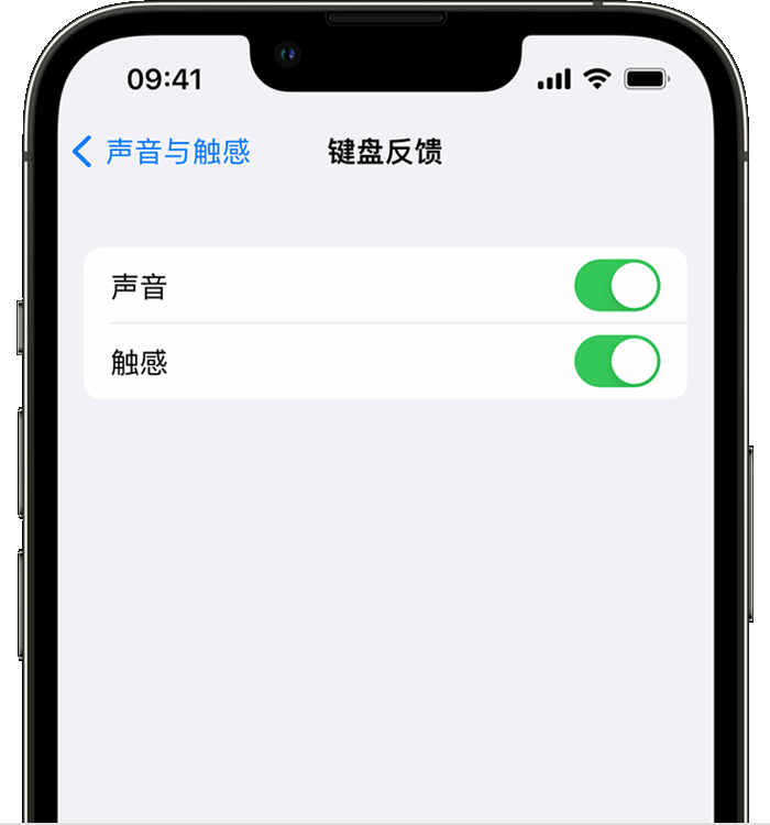 吉首苹果14维修店分享如何在 iPhone 14 机型中使用触感键盘 