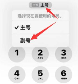 吉首苹果14维修店分享iPhone 14 Pro Max使用副卡打电话的方法 