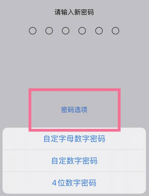 吉首苹果14维修分享iPhone 14plus设置密码的方法 