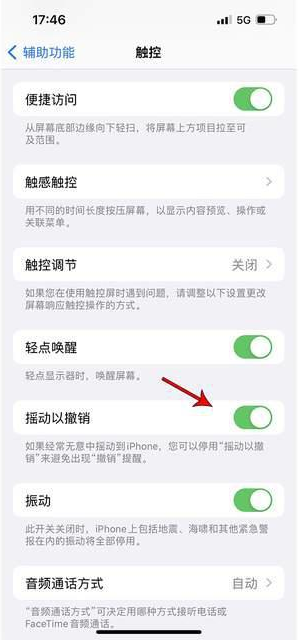 吉首苹果手机维修分享iPhone手机如何设置摇一摇删除文字 